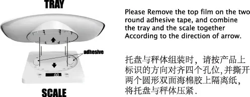 , 자 , 가, 10kg 이