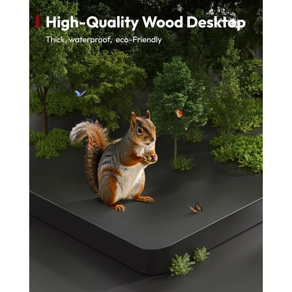 Electric Height Adjustable Standing Desk 60 x 24 Ergonomic Desk with 6-Button Controller for Office Use