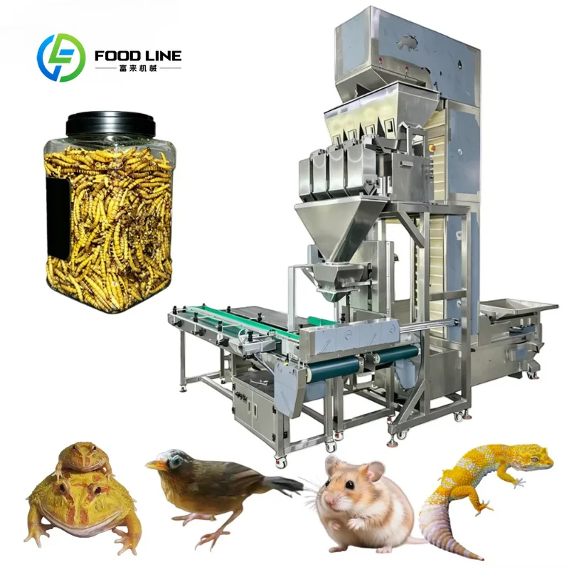 Customized Automatic  Mealworm Packing Machine Jar Can Bucket Weighing Filing Packing Machine for Pet Food Factory