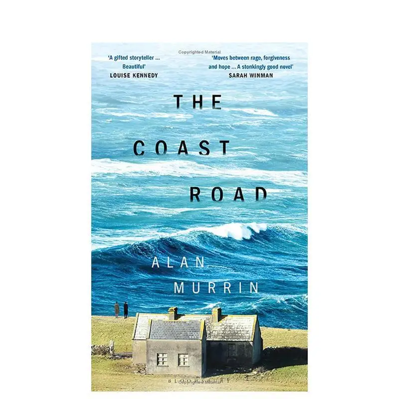 The Coast Road English original children's picture book