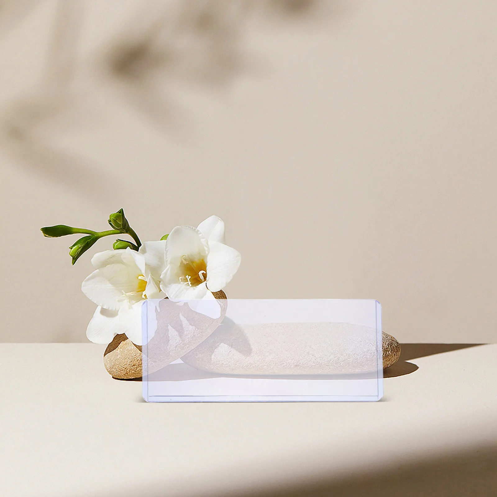 20 Pcs Transparent Banknote Clip PVC Cash Storage Waterproof Money Organizer for Bills Currency Protector Display Holder