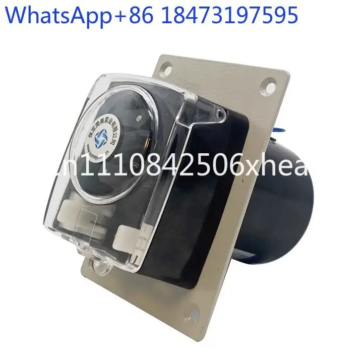 

Peristaltic pump, flue gas TH15 peristaltic pump condensation drainage pump acid and alkali digestion instrument sampling pump