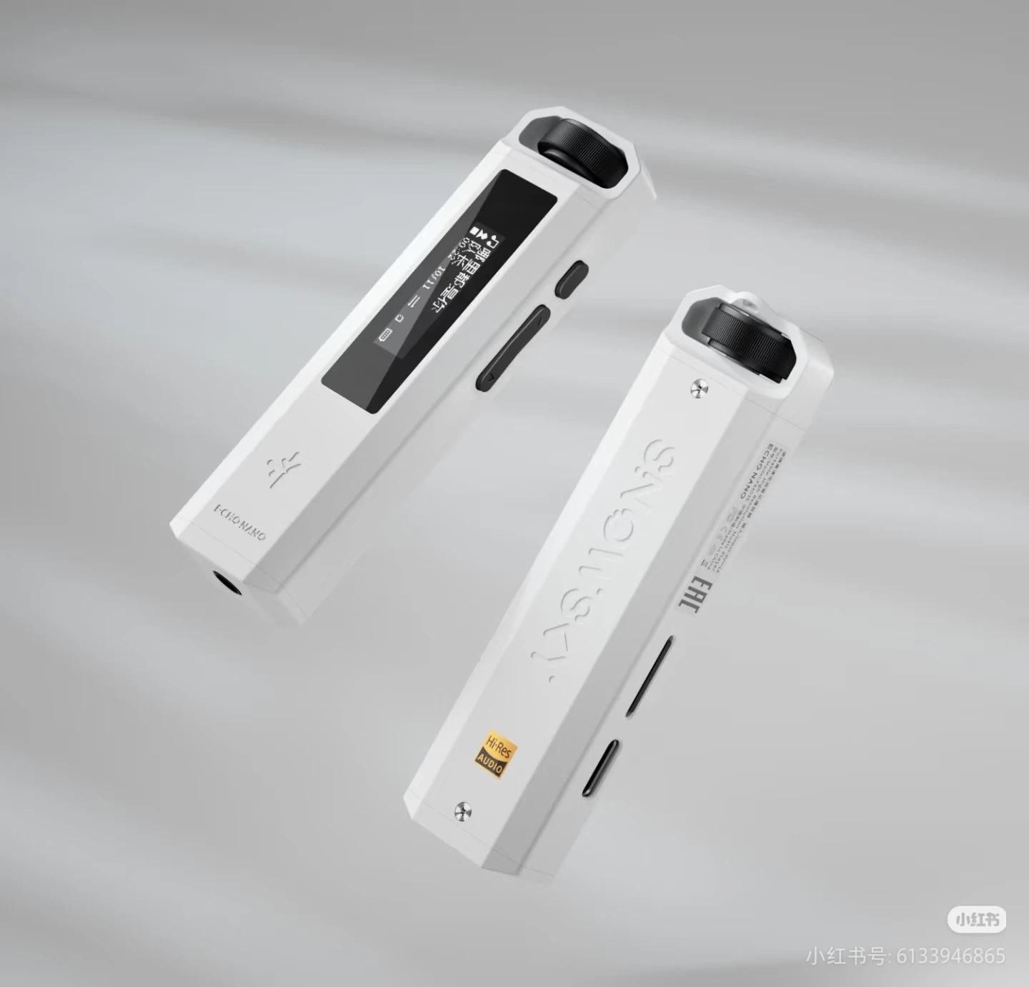 FiiO ECHO NANO ミュージックプレーヤー Snowsky ポータブルミニ