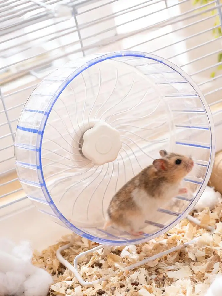 #31 Best Hamster Running Wheels to Buy In 2026