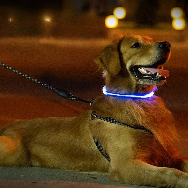 Light Up Personalized Manufacturers Silicone Waterproof Collares De Perros Custom Led Dog Collar