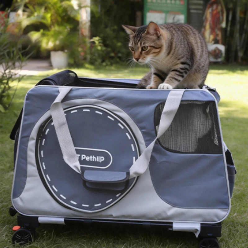 Transportín pliable 2 en 1 para perros y gatos pequeños – Bolsa de hombro