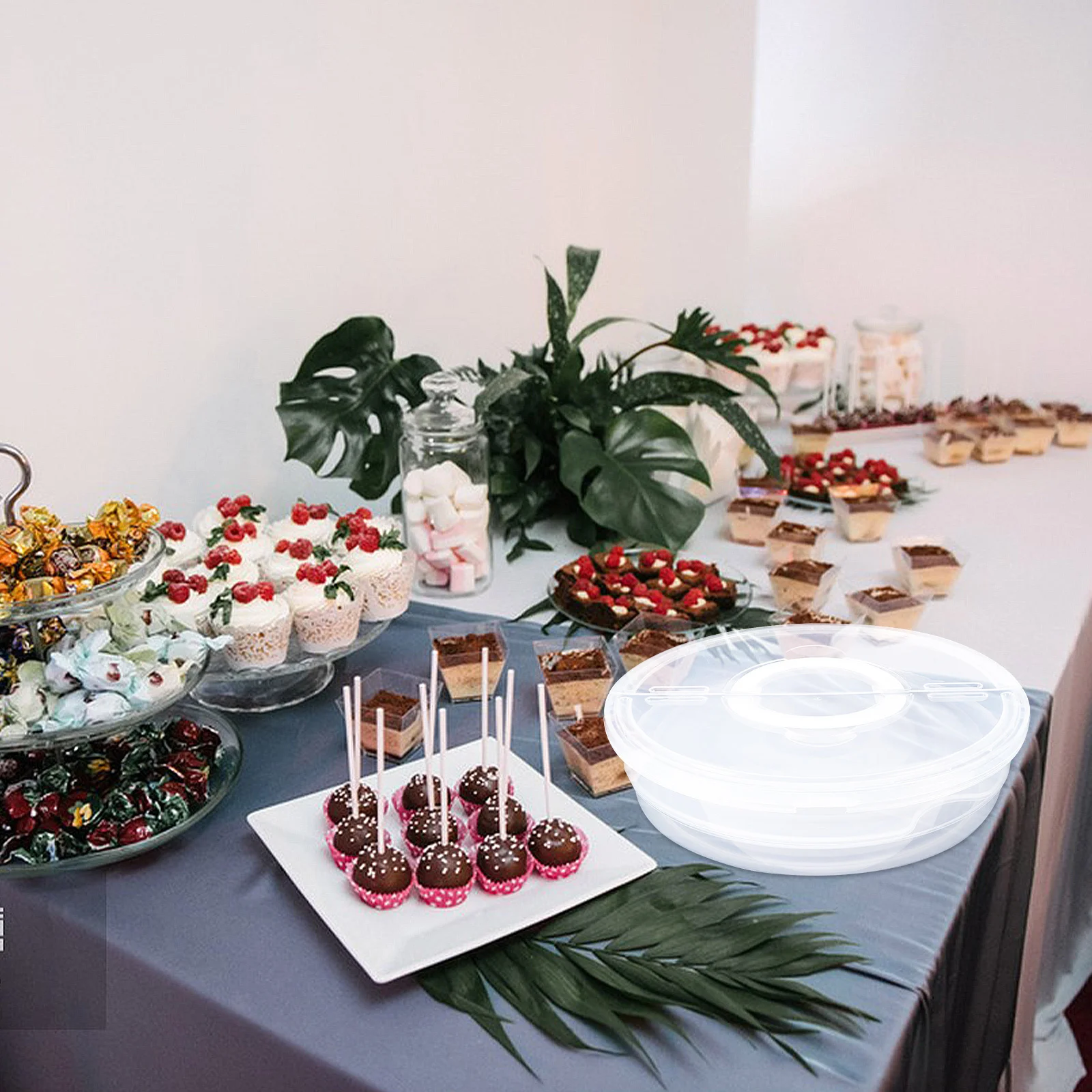 

2Pcs Food Storage Containers Clear Lids Handles for Cake Pie Pizza Pastry Storage Transport Individual Cake Containers