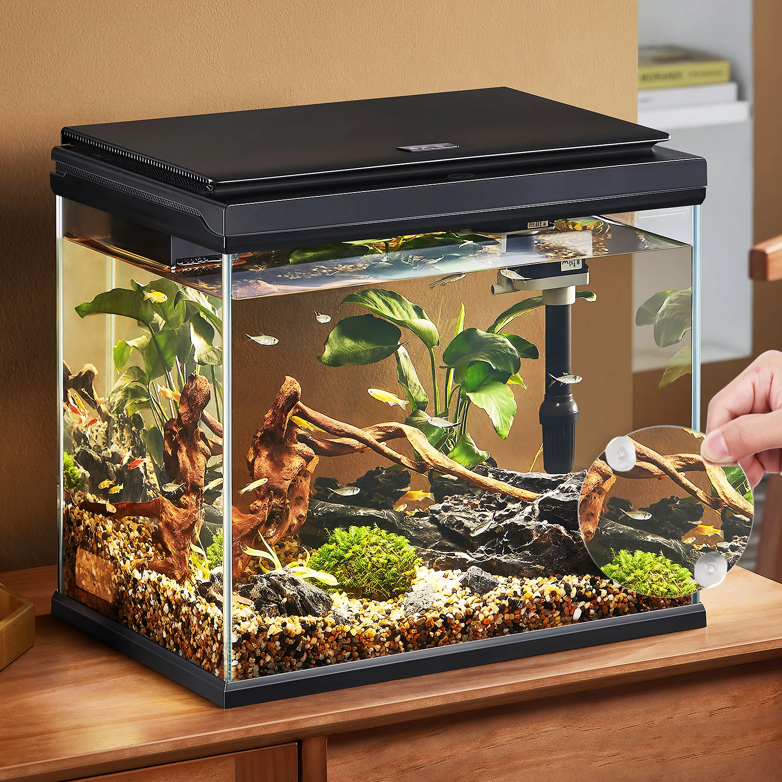 

Fish Tank Mirror Aquarium Betta Supplies Mini Suction Travel Decorative Compact Safe Material Training Toy