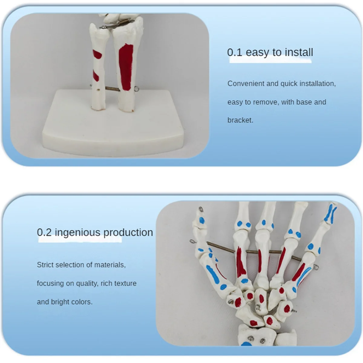Модель руки GFC-скелета, модель сустава руки, с запястьем, Ulna, кости рук на шарнирах, анатомическая модель мышц Palmar Bones