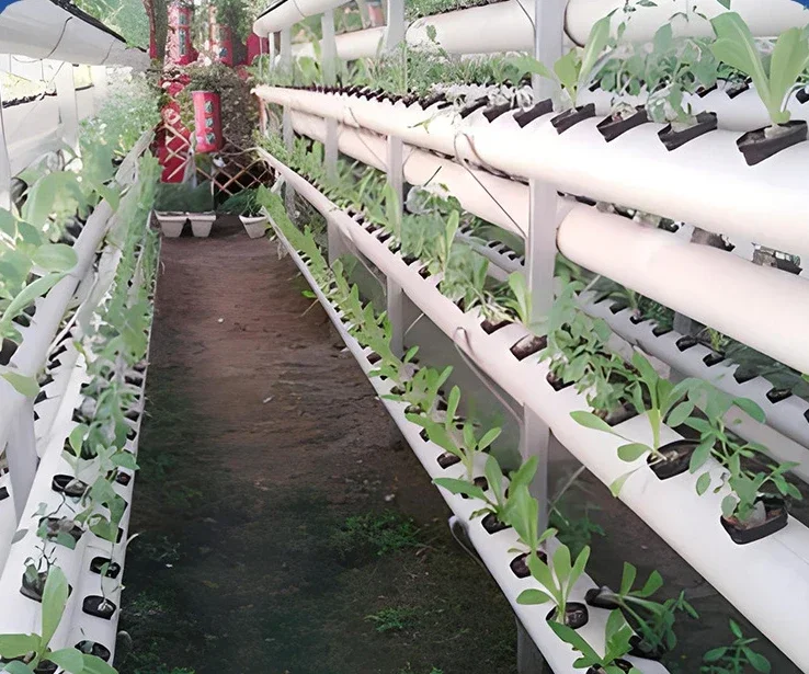 vertical pipeline hydroponic equipment factory leafy vegetable greenhouse planting vegetables soilless