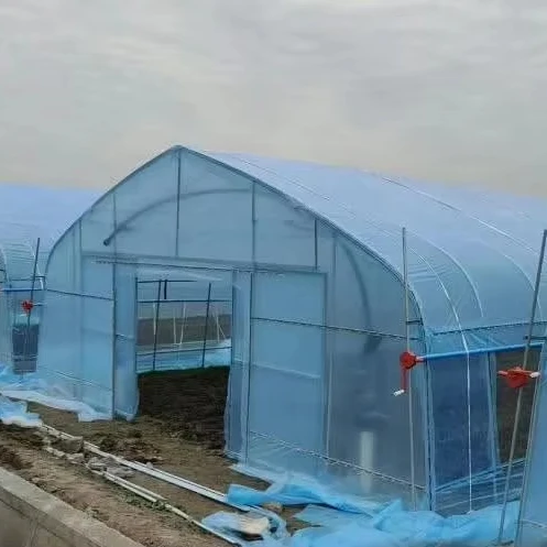 

Customized greenhouseAgricultural Greenhouse Film Single-span Tunnel Greenhouse for Tomato Planting Greenhouse