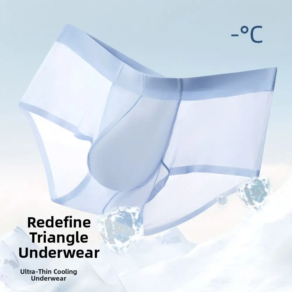 Underpants Summer Thin Briefs Men L-3XL Large Size Breathable Ice Silk Boxers Panties Lingerie with Crotch Cloth