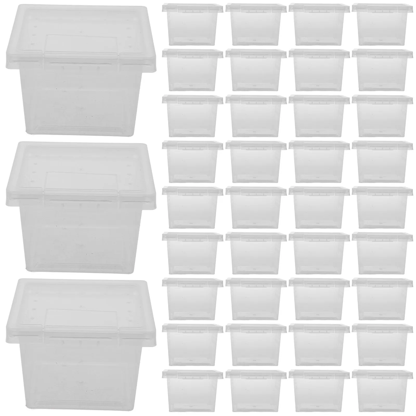 100Pcs Reptile Feed…