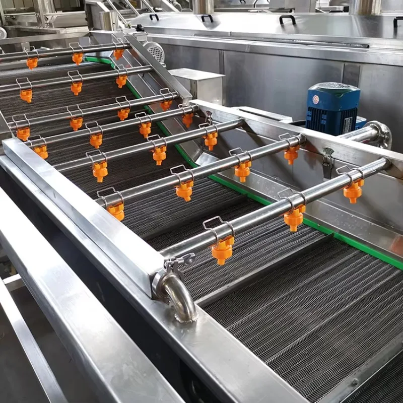 Commercial Fruit Vegetable Leaf Washing Machine Potato Ginger Carrot Onion Seafood Bubble Washing Machine