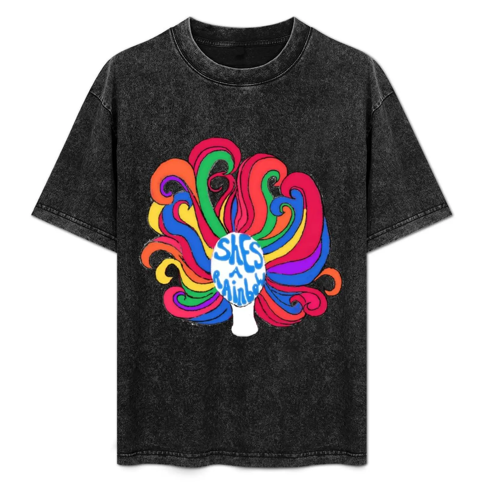 

She's a Rainbow T-Shirt Big Size Daily Wear T-Shirt