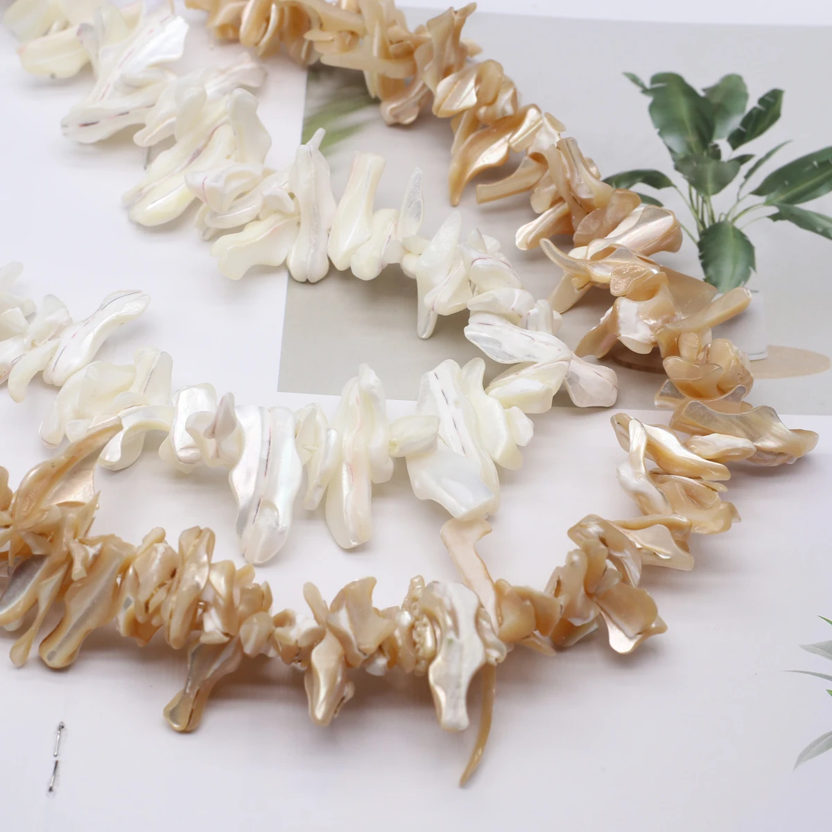 Natural Freshwater Shell Beading 18-25mm Irregular White Shell Loose Beads for Jewelry Making DIY Necklaces Bracelet Accessories