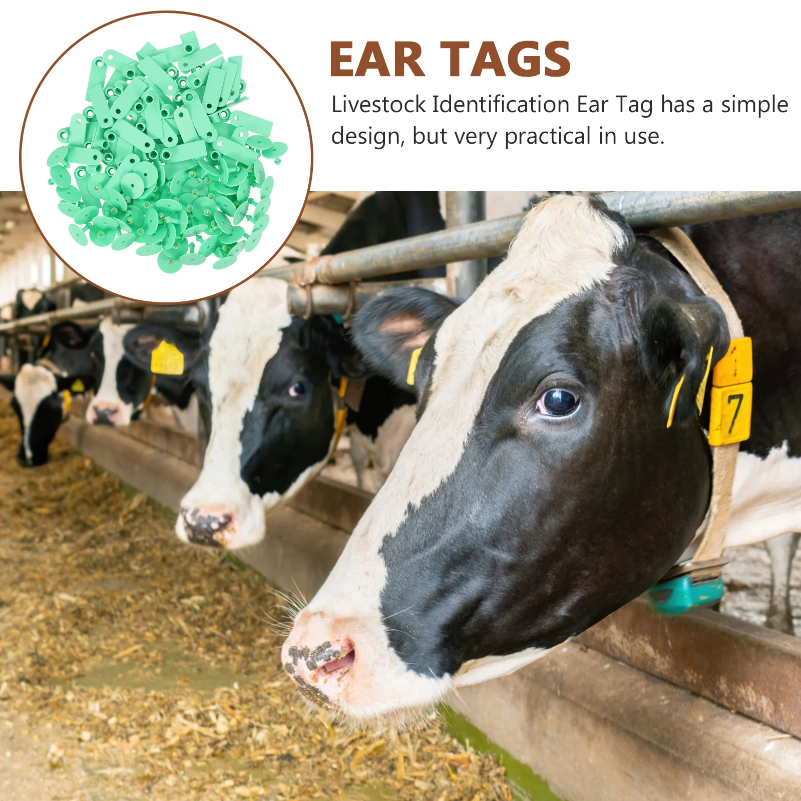 

100Sets Blank Livestock Ear Tags Strong Durable Animal Id Long Lasting Sheep Ear Tags Veterinary Supplies, Blank Cattle