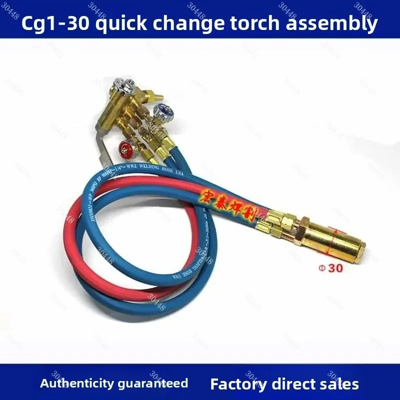 

CG1-30 Improved Quick-Action Torch Assembly Universal Flame Cutting Machine Accessory