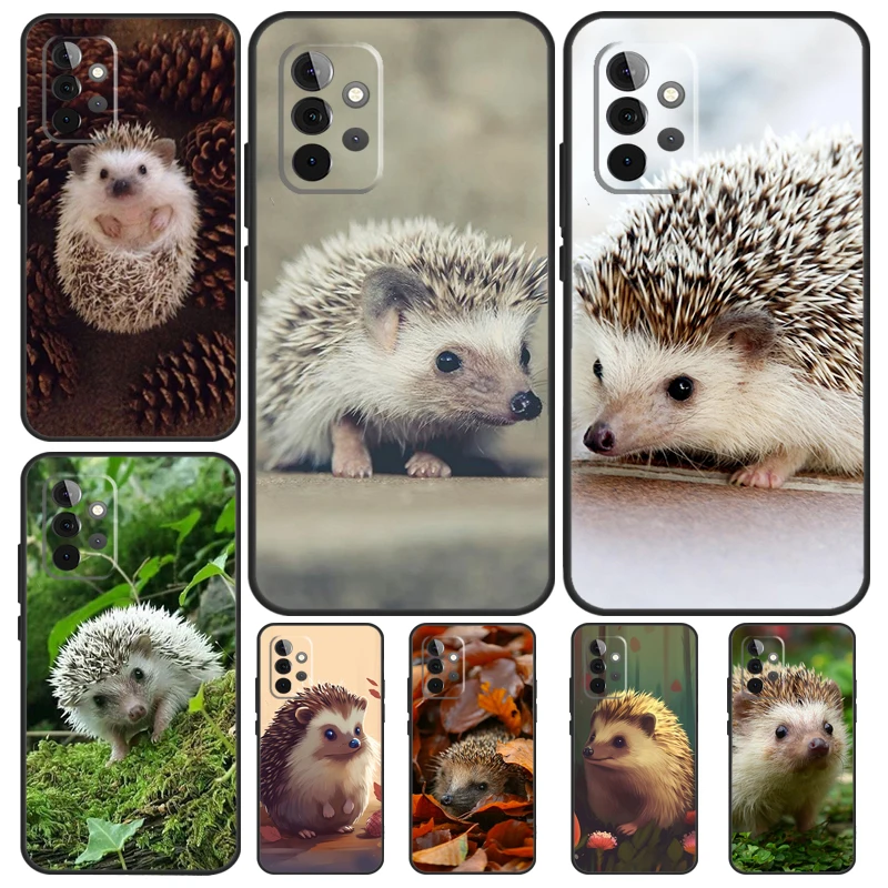 Cute Little Hedgeho…