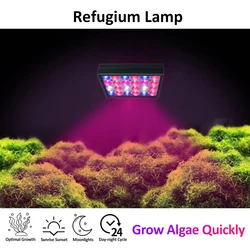 PopBloom 30W Refugium Light with Timer Full Spectrum Algae Tank Light For Seaweed Filter / Refuge Algae Growth Marine Aquarium