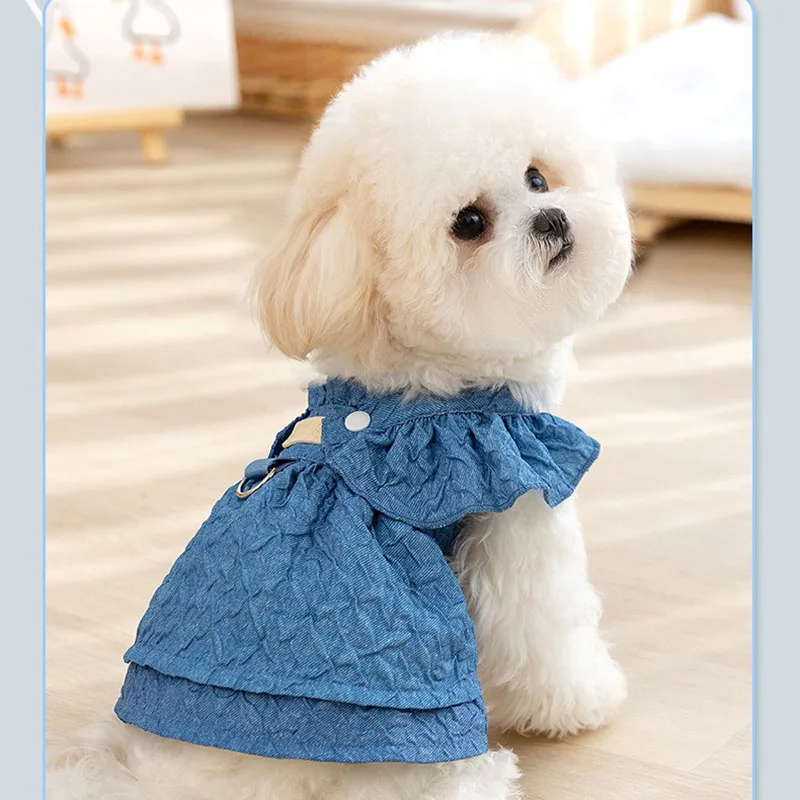 Klassieke denimkleding zomer hondenrok puppy anti-haar val dunne jurk bichon frise huisdierkleding vrouwelijke hond prinses rok