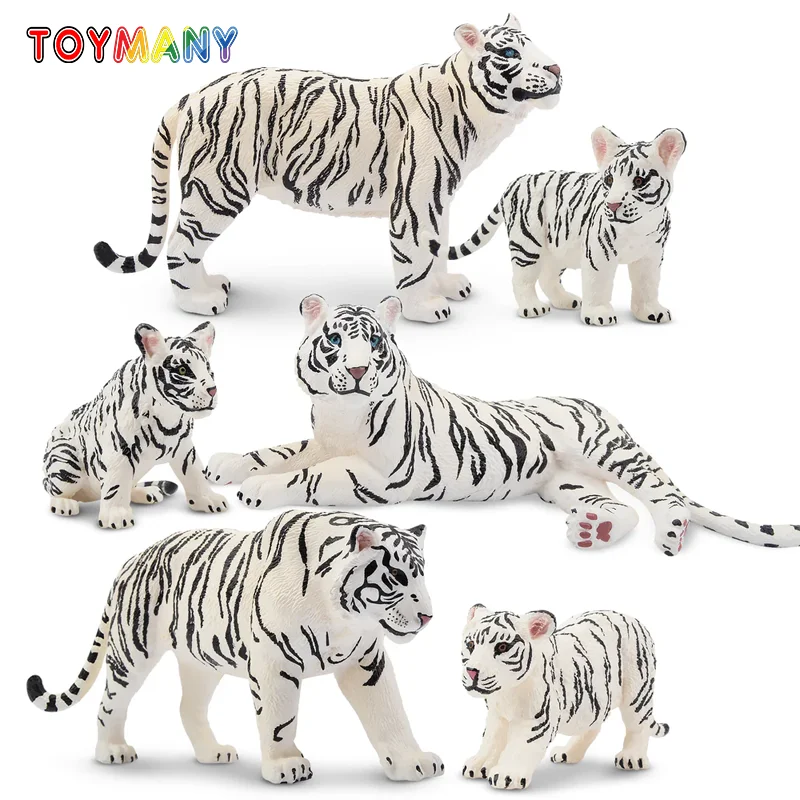 6 pezzi simulazione tigre bianca famiglia fauna selvatica modello animale giocattolo mini figure bambole figurine d'azione giocattoli per bambini set regalo