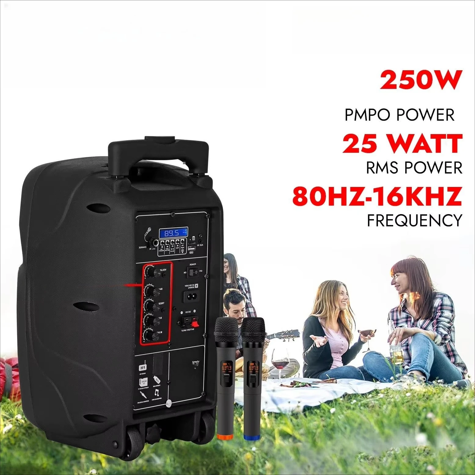 8 2-MIC D0100XU61WA Portable Roller Speaker 250W Suitable for Party Speakers Disco Lights Monster Power Supply Rechargeable