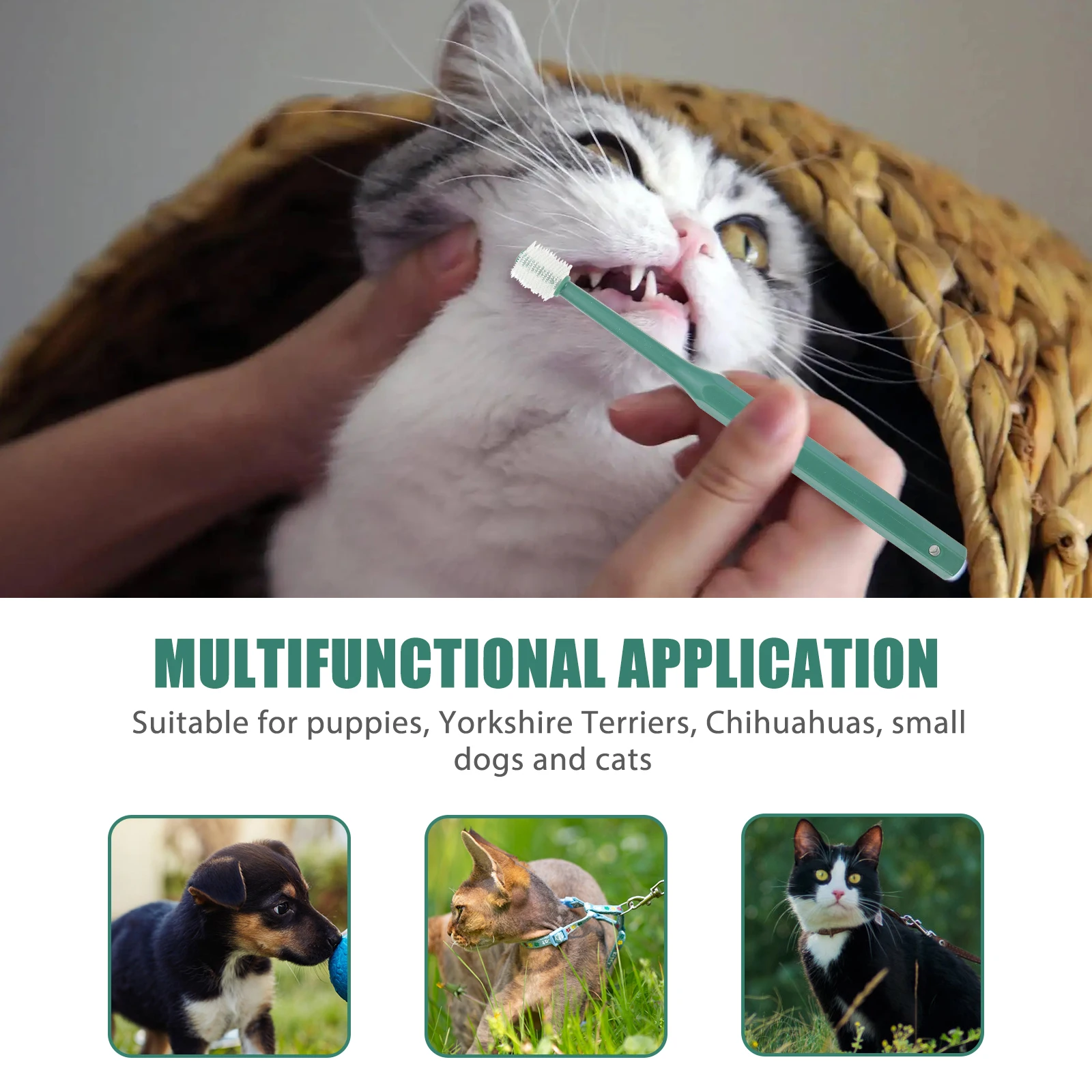 

Small Dog Teeth Cleaner Pet Toothbrush Toothbrushes Dogs Kitten Contains for Work