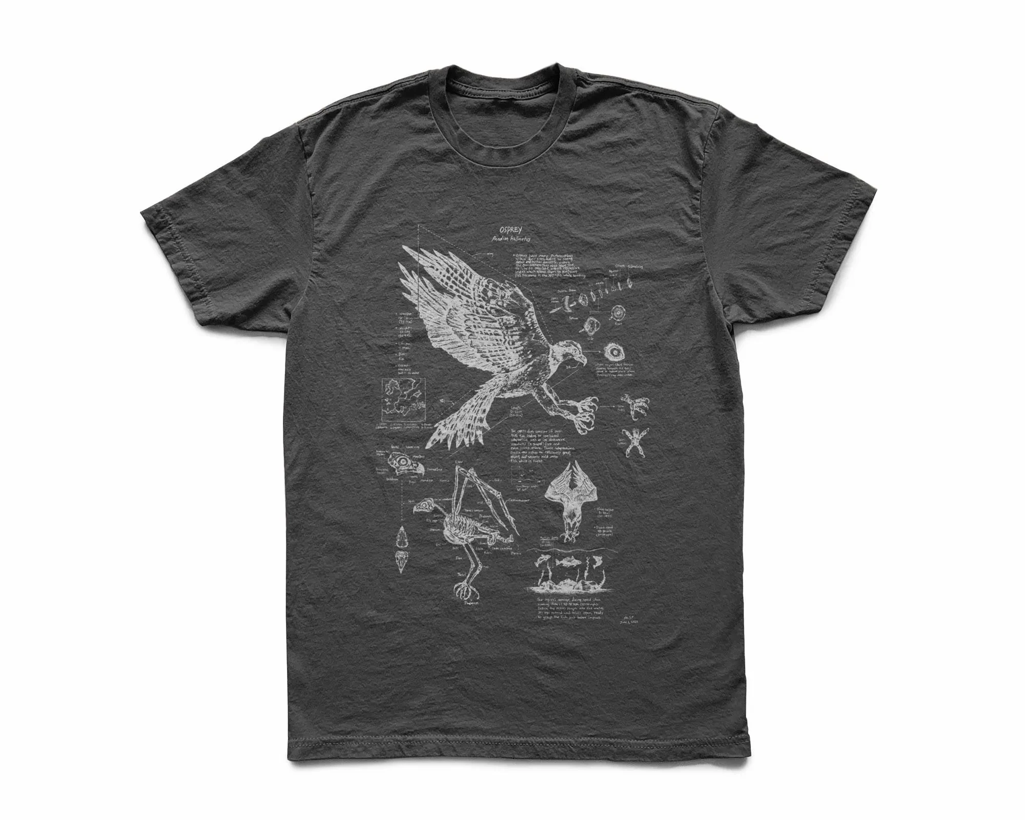 Camiseta de anatomía Osprey, pantalla Original de dibujo de halcón de pescado impresa en una Camisa de algodón suave, ropa cómoda dibujada a mano para hombres