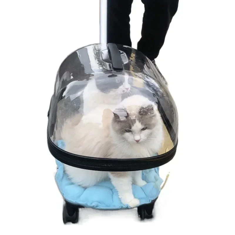 Suitcases Cat Backpack Carrier Pet Bag Cat Supplies Cat Travel Bag Space Carrier Pet Cage Carry on Luggage with Wheels Travel