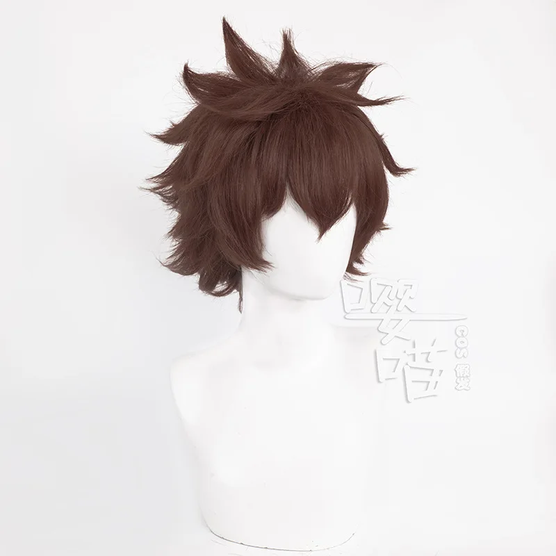 Sawada Tsunayoshi Cosplay Wig Anime Katekyoo Hitman Reborn! 32CM Short Brown Heat Resistant Synthetic Wig Cosplay Wigs Halloween