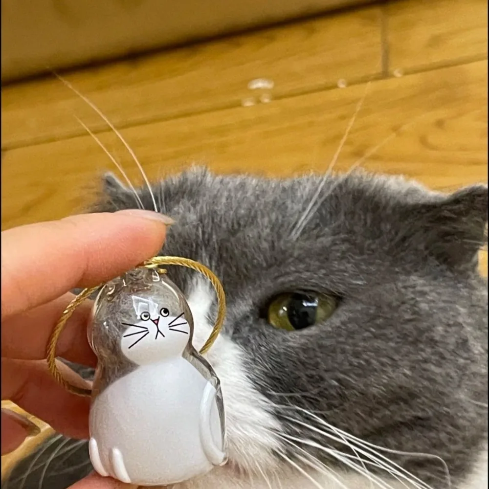 Small Ornaments Cat Fur Storage Pendant Transparent Container Cute Cat Shaped Creative Keychain Handmade Design DIY Accessories image 5