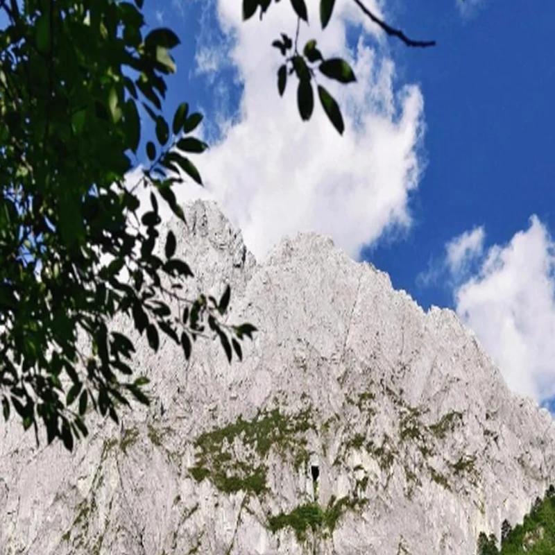 

T-Motor F1203 7000KV 2-3S Lipo Ultra Light Brushless Motor 1.5mm Shaft, Suitable for RC FPV 2/2.5/3-inch Free Travel Speed Drone