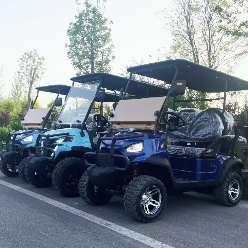 Luxury Electric Golf Cart With Bluetooth Speaker 72V Intelligent Electronic Control New Energy Electric Four-Wheel Vehicle