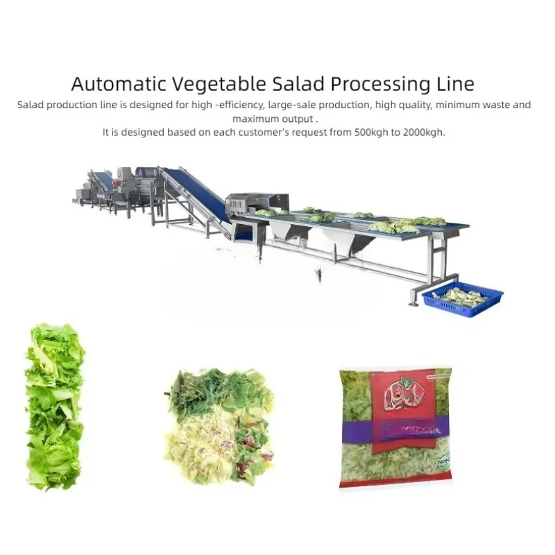 Frozen Fruit And Vegetable Processing Line, Industrial Continuous Sorting Blanching Freezing Equipment, For Farm Processor