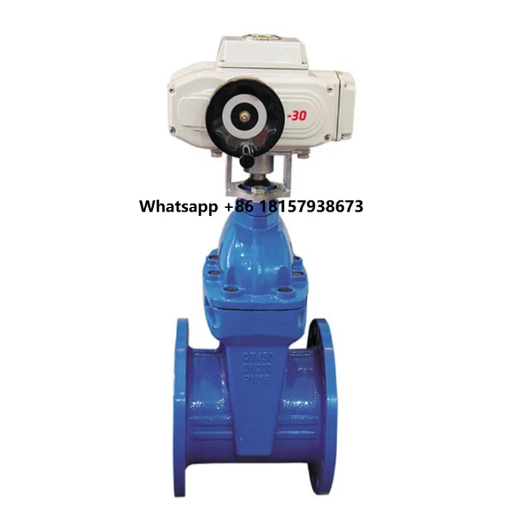 

Ductile Cast Iron Actuator Motorized Electric Flange Gate Valve