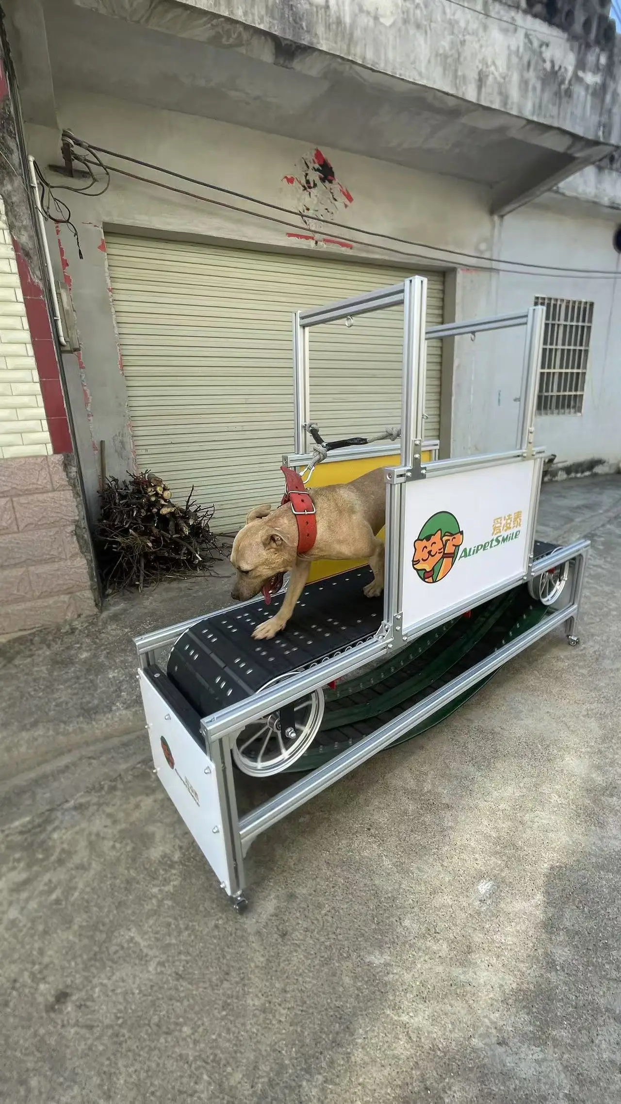 Professional Aluminum Alloy Dog Treadmill | No Powered Slatmill for Medium to Large Dogs Exercise | Indoor & Outdoor Use