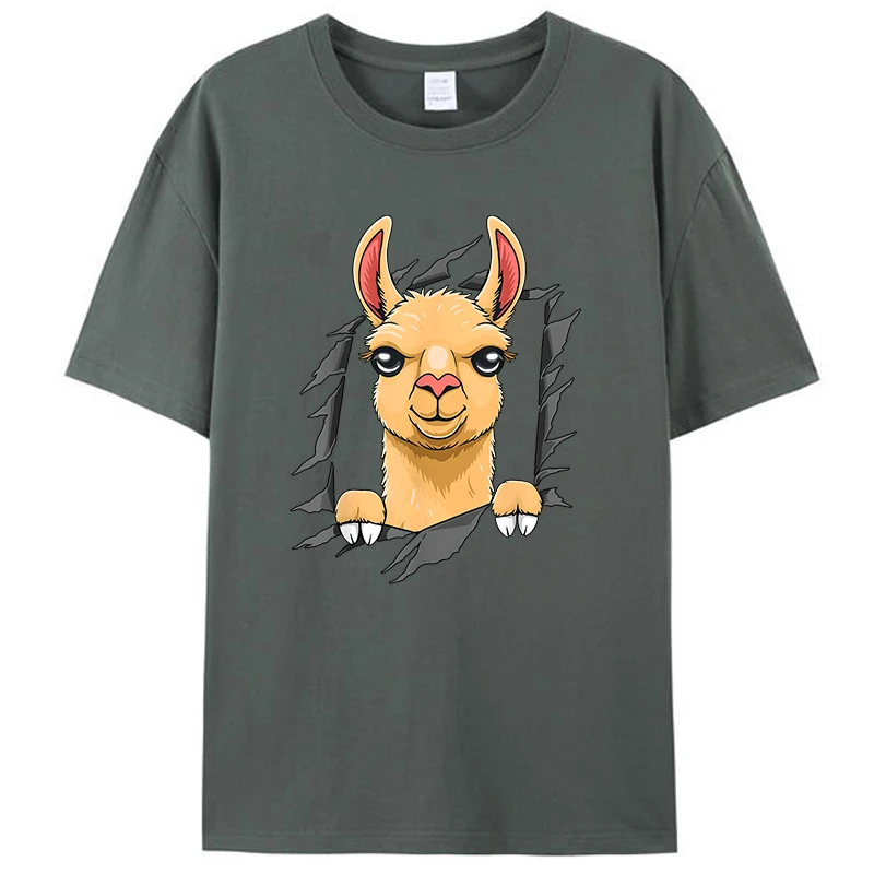 Cute Llama Looks From Torn Fabric Funny Graphic Women Men's T-Shirt Clothing Tee Shirts Tops Novelty Gift