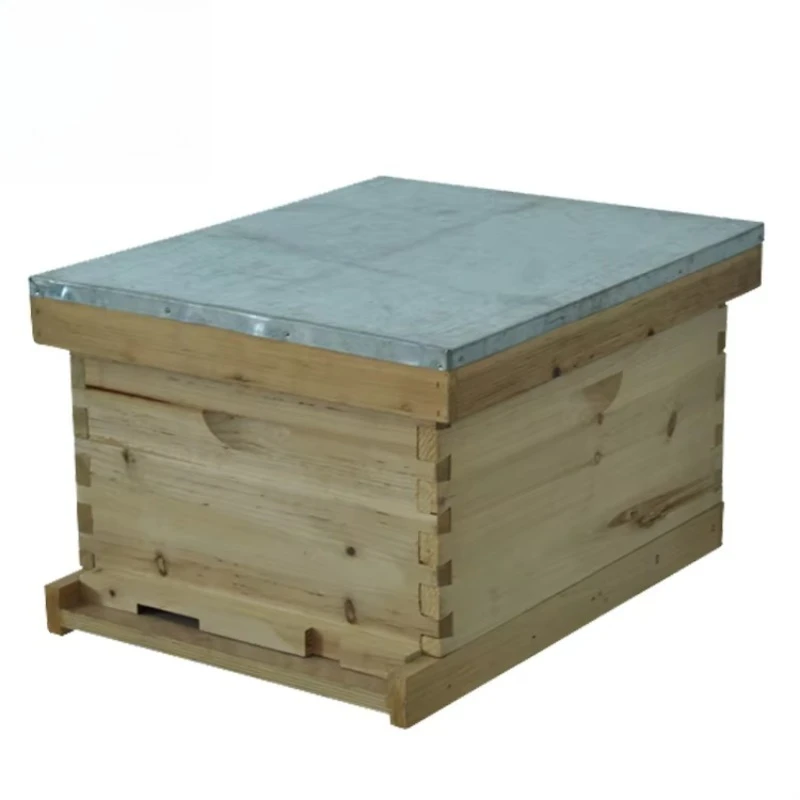 Alvive in legno 8 e 10 telai Alvive per api