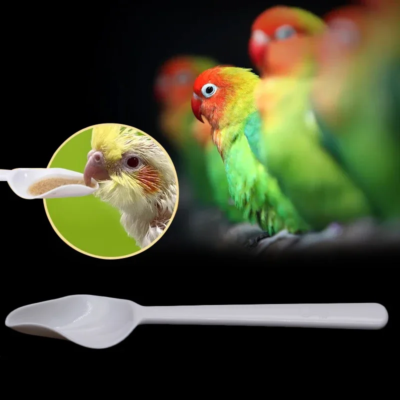 Bird Parrots Feeder Spoon Pointed Milk Avoid for Baby Bird Feeding & Watering- Suppatcher Pole Thickness Wire Rope for Livestock