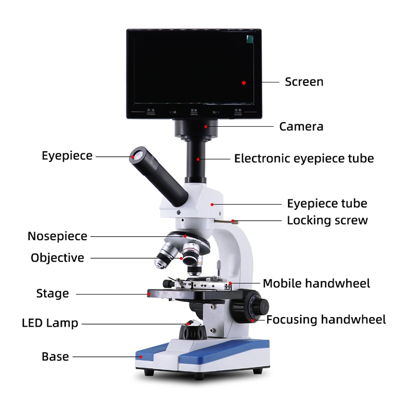 Dzieci studenckie Biologiczny mikroskop HD dzieci edukacja laboratoryjna Elektroniczny okular cyfrowy z ekranem LCD