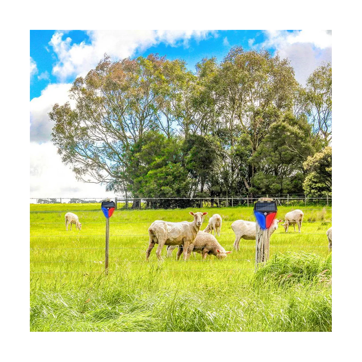 Drahtloser solar betriebener Alarm Lichtsensor für den menschlichen Körper mit wasserdichter Funktion zur Warnung im Freien