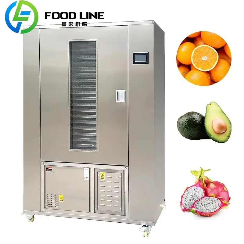 

Сушилка для фруктов, тепловой насос из нержавеющей стали, дегидратор пищевых продуктов для авокадо, питайя, сертифицированный CE, энергосберегающие овощи