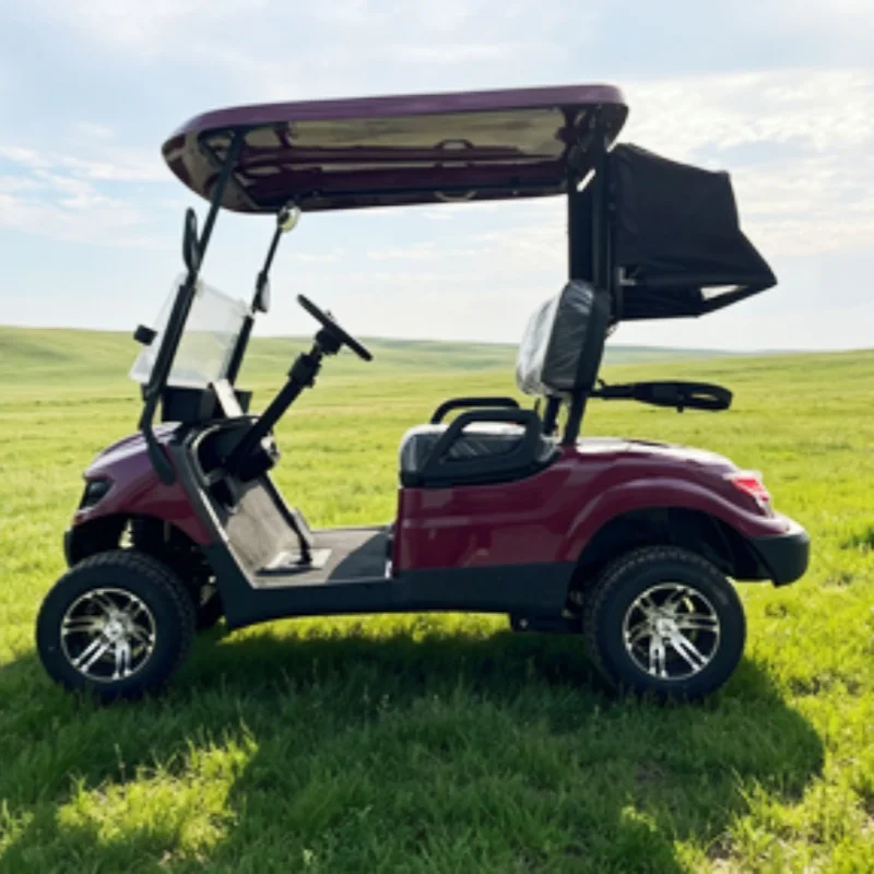 Street Legal 4KW Electric Golf Cart 72V Lithium Electric Golf Cart With 12-Inch Off-Road Tires Side Mirror With Turning Light