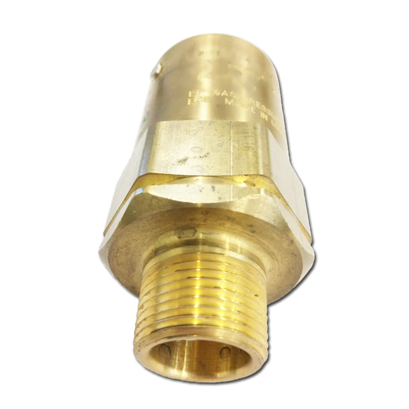 3129G Safety Valve 1/2