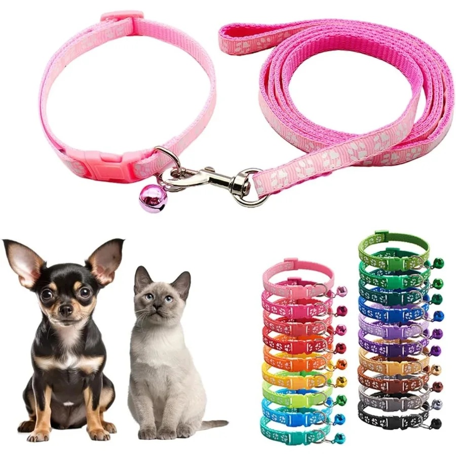 Xxs Dog Collar And …