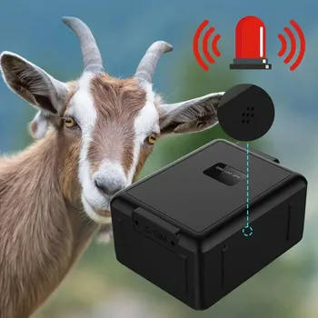 GPS 추적기 양 소 말 GPS 추적 장치, 지오펜스 방수 로케이터 앱 경고, 20000mAh 긴 대기 시간, 4G 