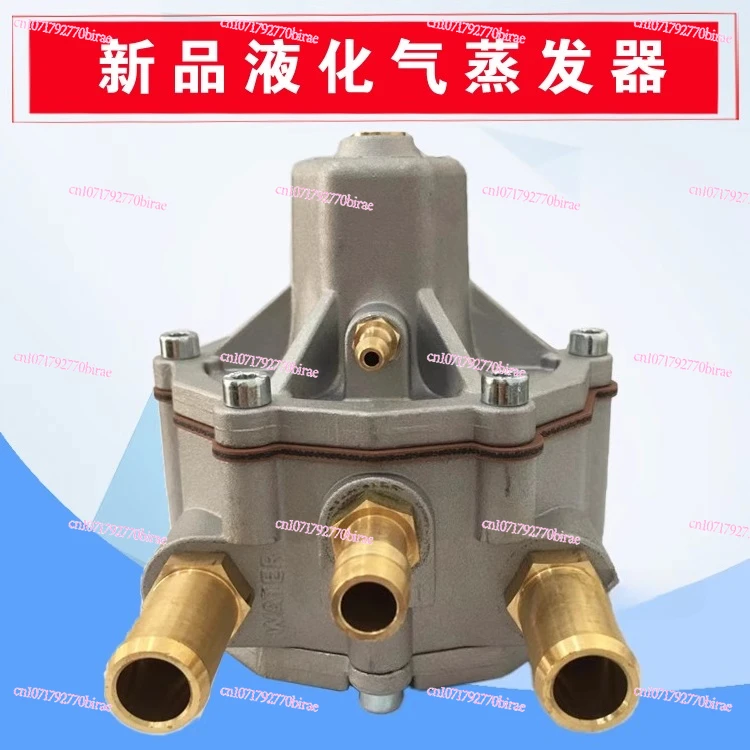 CNG Automotive Natural Gas Parts LPG Liquefied  Vehicle Multi-point Pressure Reducer Thomas Evaporator  Direct Injection Valve