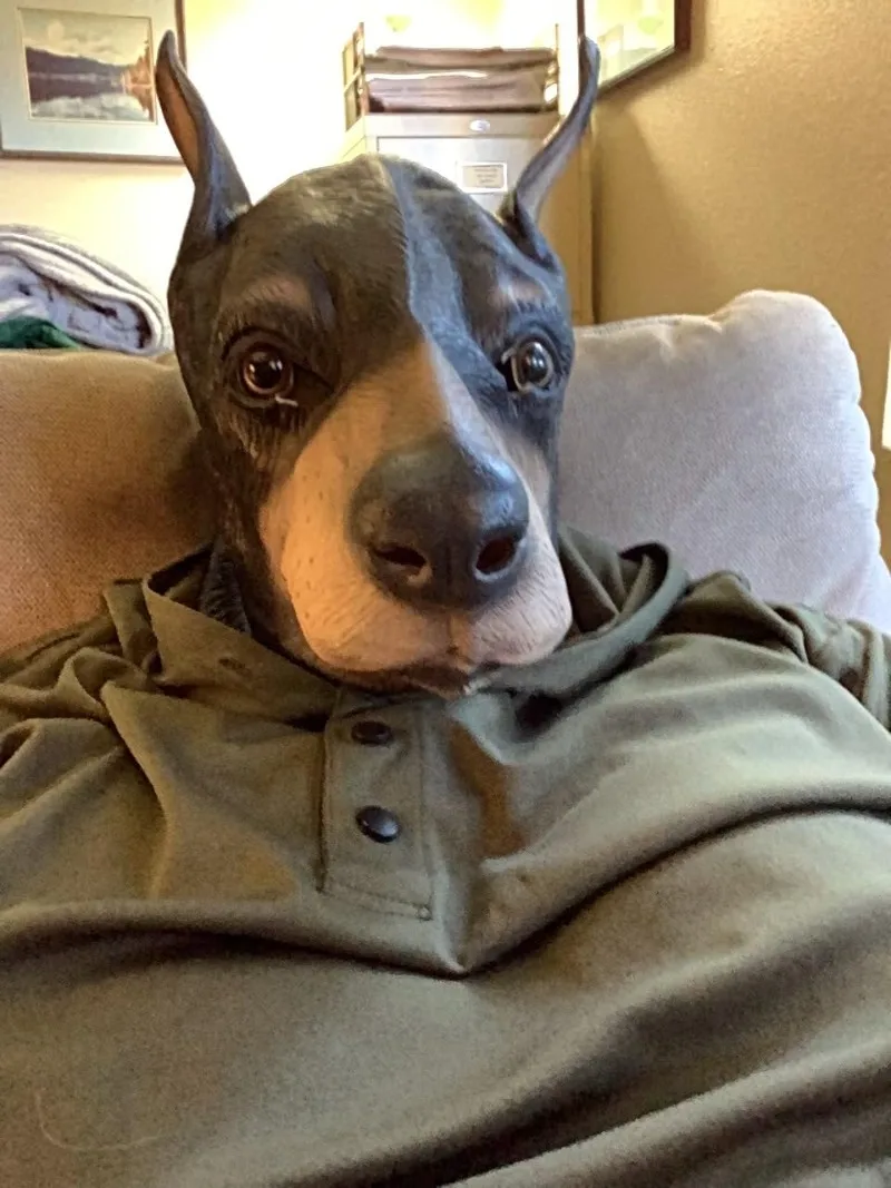 Maschera per cani realistica Testa di Doberman nera Divertente maschera per animali in lattice Vestito operato Festa di carnevale Maschera per costume cosplay di Halloween per uomo