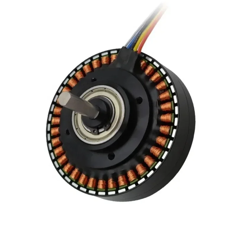 High Torque 3600 rpm Electric Brushless DC Motor 36 v
